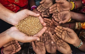 4 dicembre. SEDUTA CONGIUNTA CON LE ACCADEMIE DELLE SCIENZE E DI AGRICOLTURA. La fame nel mondo